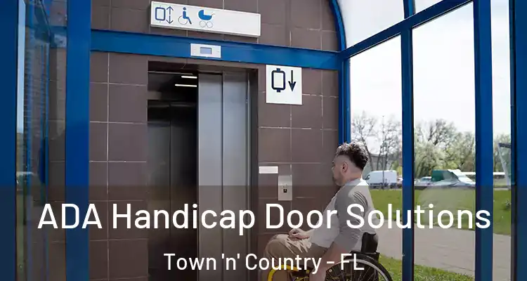  ADA Handicap Door Solutions Town 'n' Country - FL