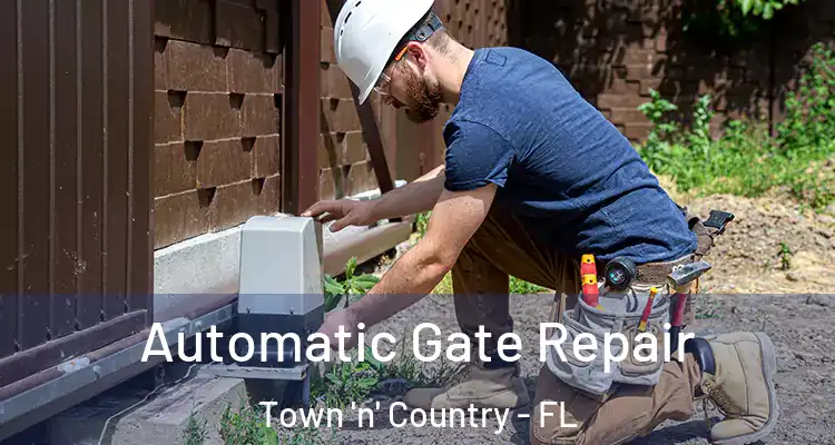  Automatic Gate Repair Town 'n' Country - FL