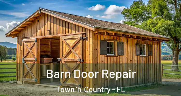  Barn Door Repair Town 'n' Country - FL
