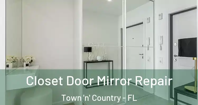  Closet Door Mirror Repair Town 'n' Country - FL