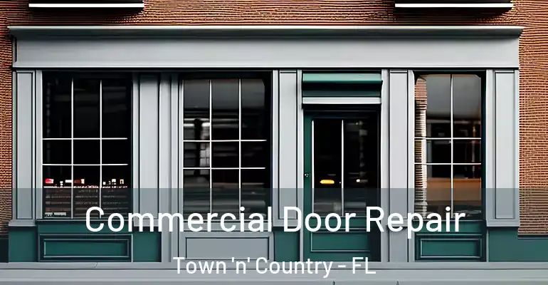  Commercial Door Repair Town 'n' Country - FL