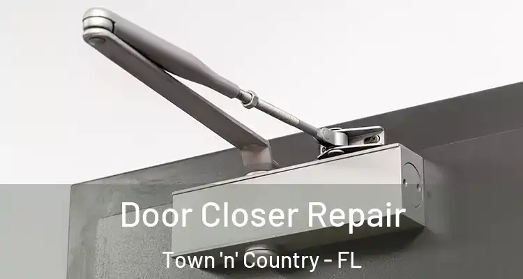  Door Closer Repair Town 'n' Country - FL