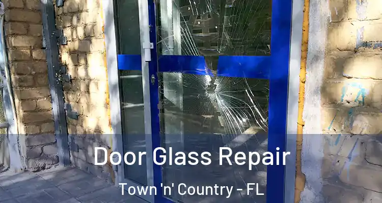  Door Glass Repair Town 'n' Country - FL