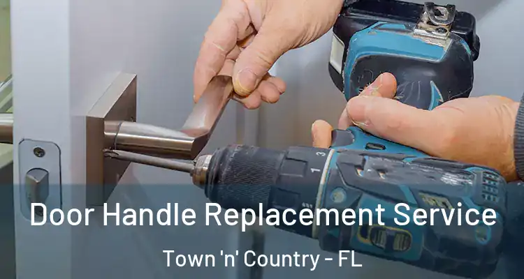  Door Handle Replacement Service Town 'n' Country - FL