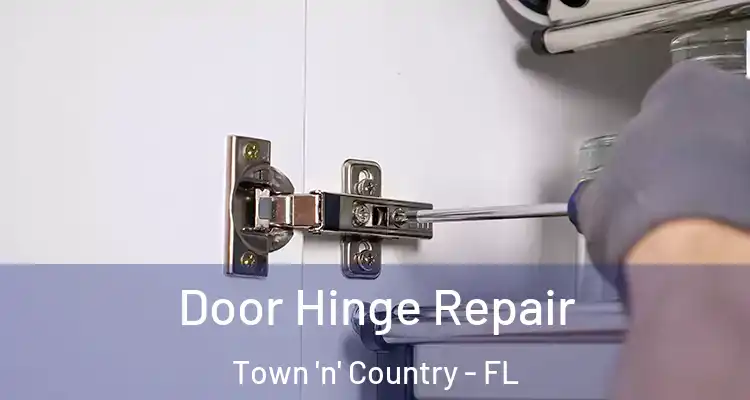  Door Hinge Repair Town 'n' Country - FL