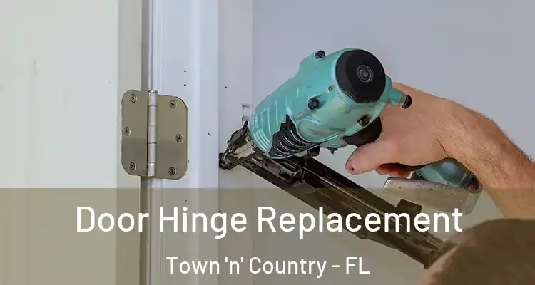  Door Hinge Replacement Town 'n' Country - FL
