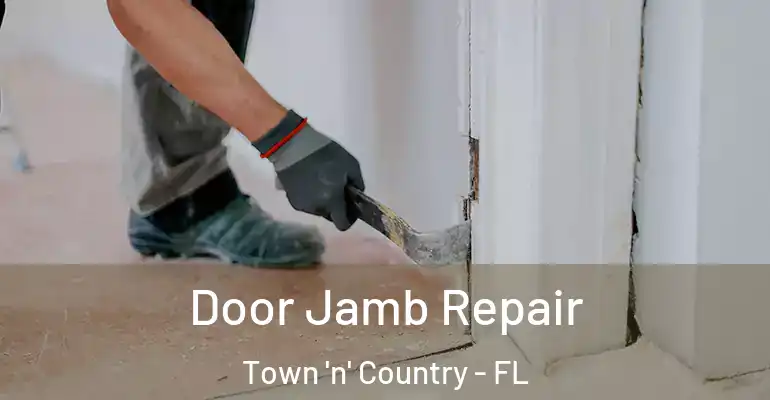  Door Jamb Repair Town 'n' Country - FL