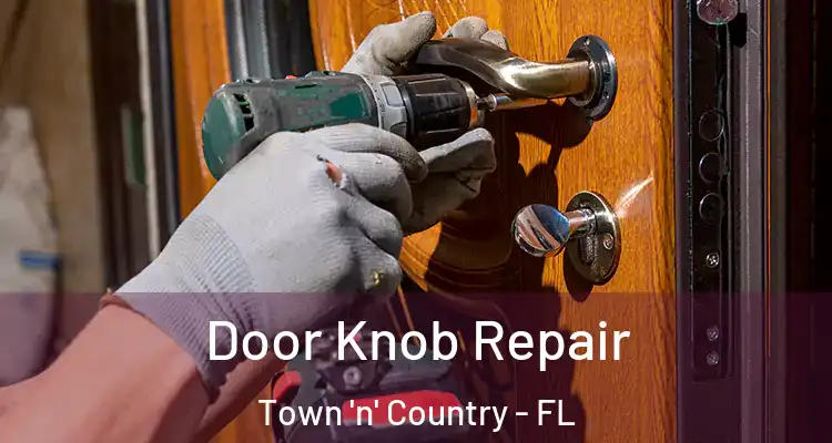  Door Knob Repair Town 'n' Country - FL