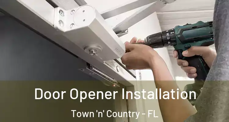  Door Opener Installation Town 'n' Country - FL