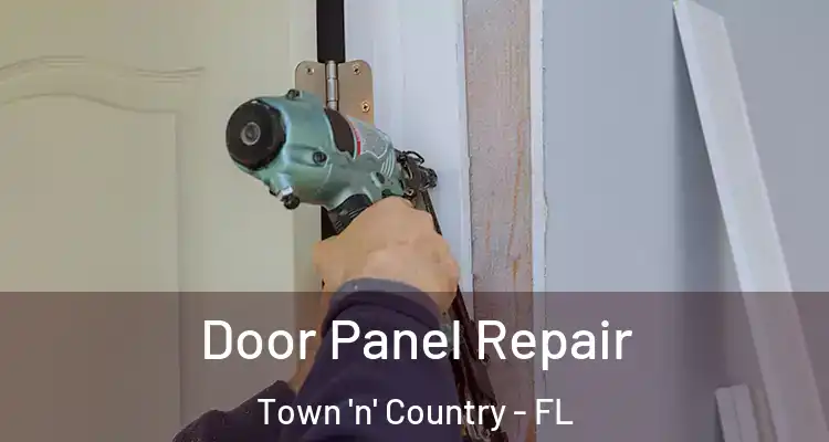  Door Panel Repair Town 'n' Country - FL