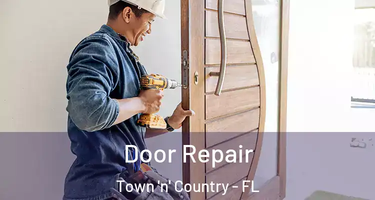  Door Repair Town 'n' Country - FL