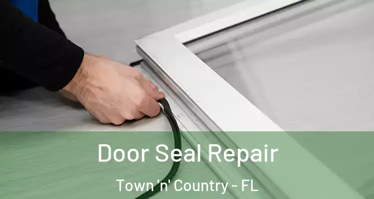  Door Seal Repair Town 'n' Country - FL