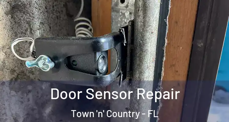  Door Sensor Repair Town 'n' Country - FL