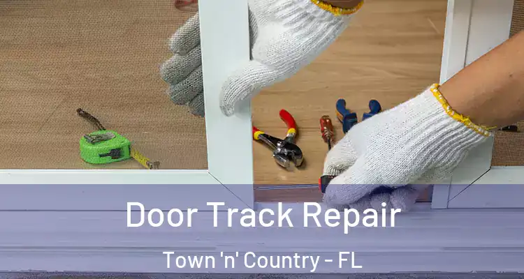  Door Track Repair Town 'n' Country - FL