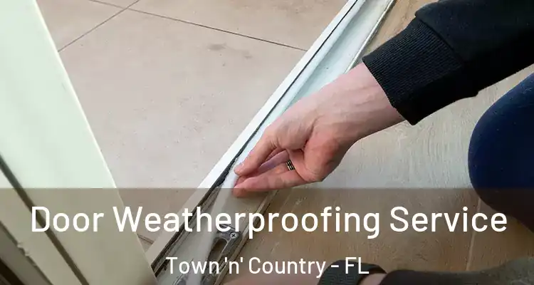  Door Weatherproofing Service Town 'n' Country - FL