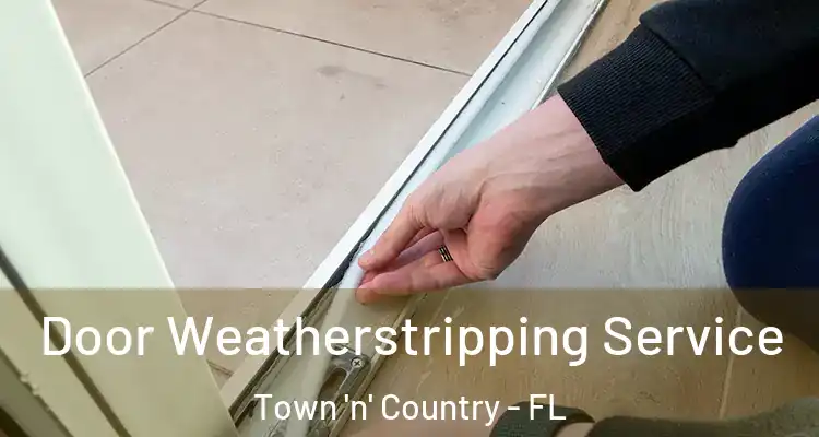  Door Weatherstripping Service Town 'n' Country - FL