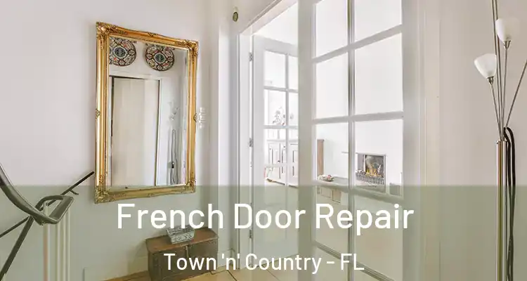  French Door Repair Town 'n' Country - FL