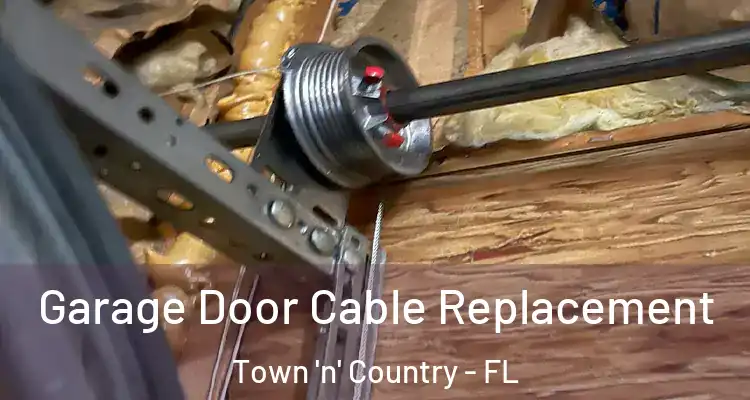 Garage Door Cable Replacement Town 'n' Country - FL