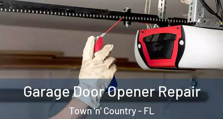  Garage Door Opener Repair Town 'n' Country - FL