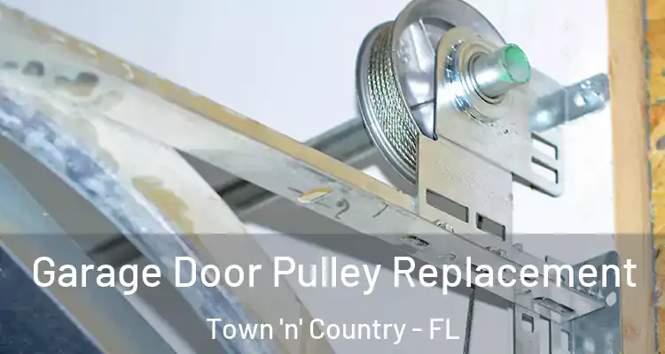  Garage Door Pulley Replacement Town 'n' Country - FL