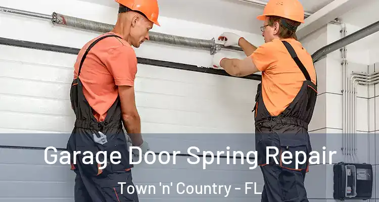  Garage Door Spring Repair Town 'n' Country - FL