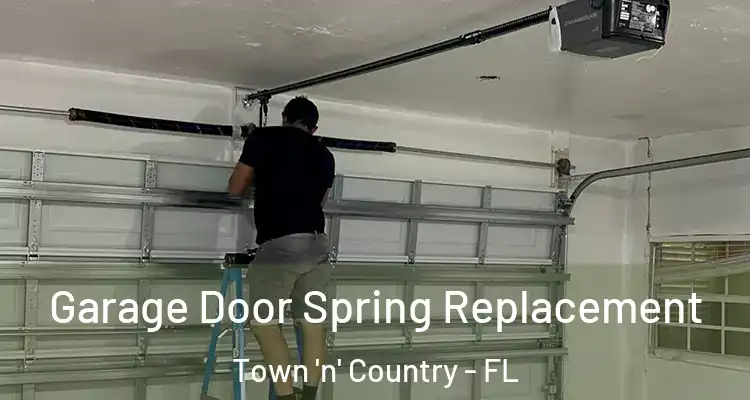  Garage Door Spring Replacement Town 'n' Country - FL