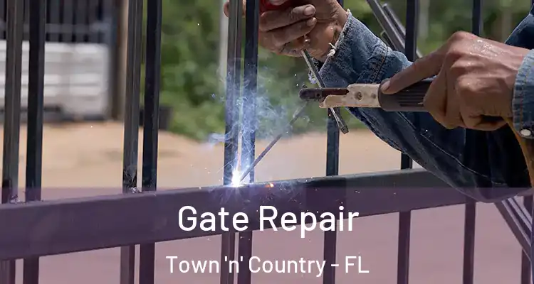  Gate Repair Town 'n' Country - FL