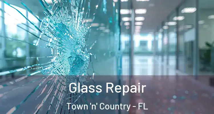  Glass Repair Town 'n' Country - FL