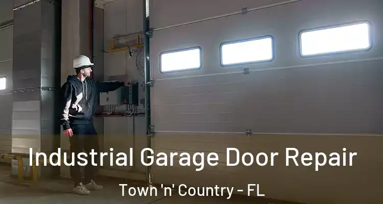  Industrial Garage Door Repair Town 'n' Country - FL