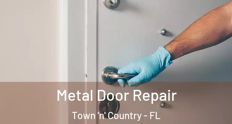  Metal Door Repair Town 'n' Country - FL