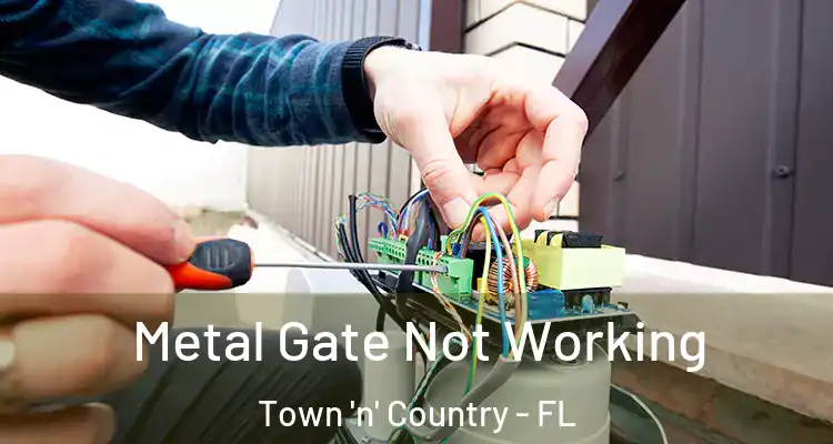  Metal Gate Not Working Town 'n' Country - FL