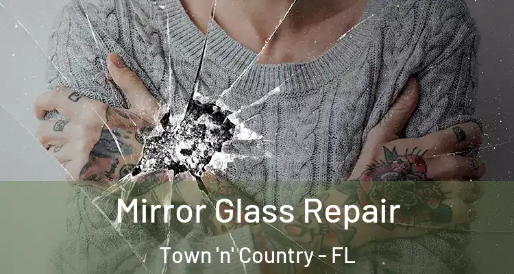  Mirror Glass Repair Town 'n' Country - FL