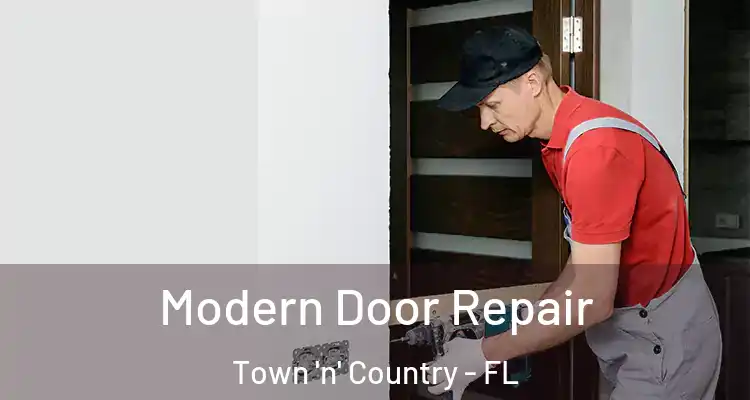  Modern Door Repair Town 'n' Country - FL