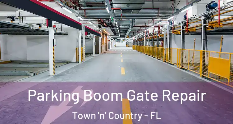  Parking Boom Gate Repair Town 'n' Country - FL