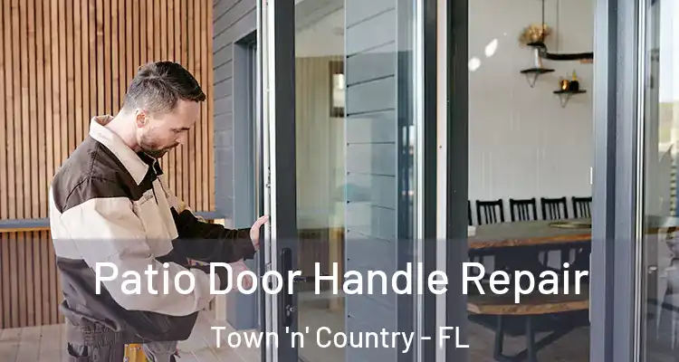  Patio Door Handle Repair Town 'n' Country - FL