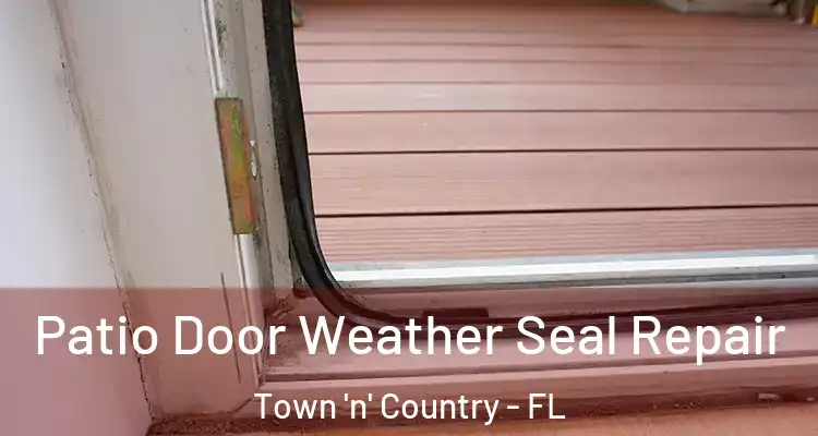  Patio Door Weather Seal Repair Town 'n' Country - FL