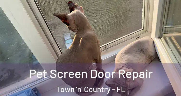  Pet Screen Door Repair Town 'n' Country - FL