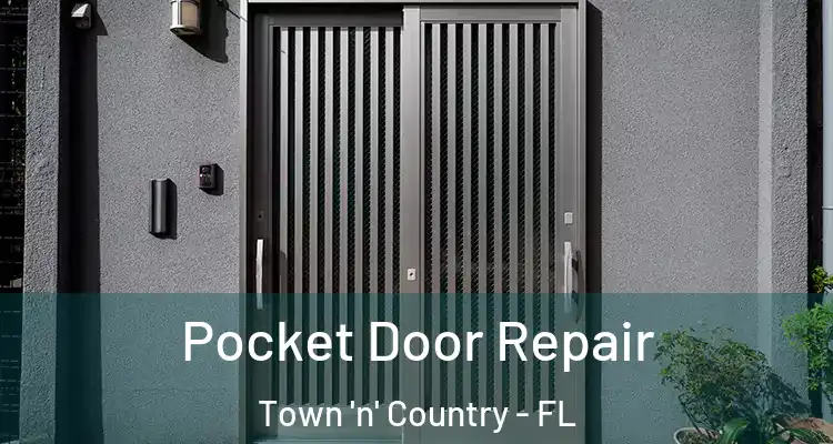  Pocket Door Repair Town 'n' Country - FL