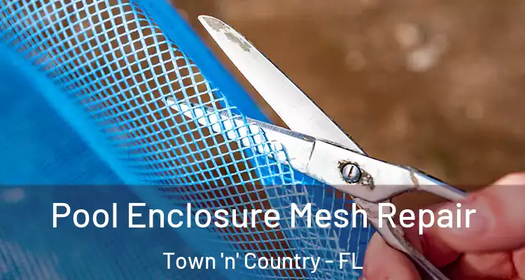  Pool Enclosure Mesh Repair Town 'n' Country - FL