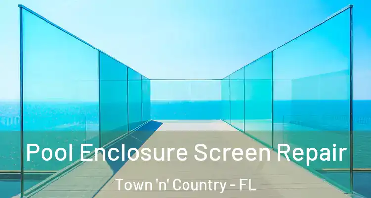  Pool Enclosure Screen Repair Town 'n' Country - FL