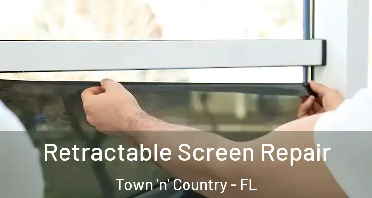  Retractable Screen Repair Town 'n' Country - FL