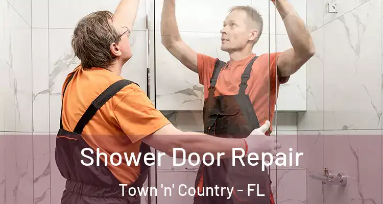  Shower Door Repair Town 'n' Country - FL