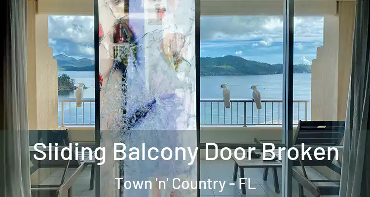  Sliding Balcony Door Broken Town 'n' Country - FL