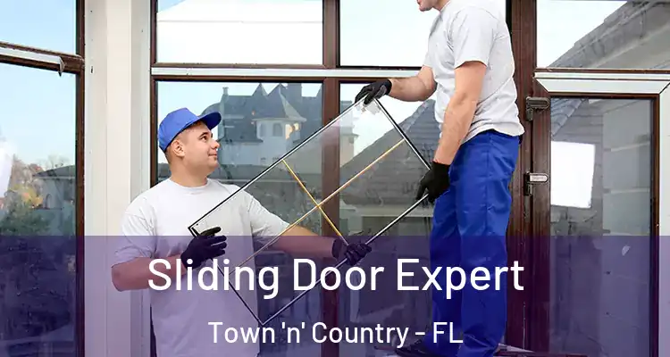  Sliding Door Expert Town 'n' Country - FL
