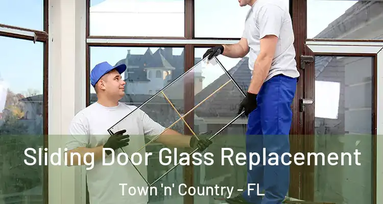  Sliding Door Glass Replacement Town 'n' Country - FL