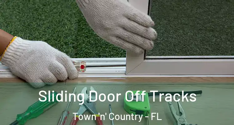  Sliding Door Off Tracks Town 'n' Country - FL