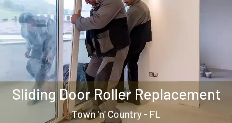  Sliding Door Roller Replacement Town 'n' Country - FL