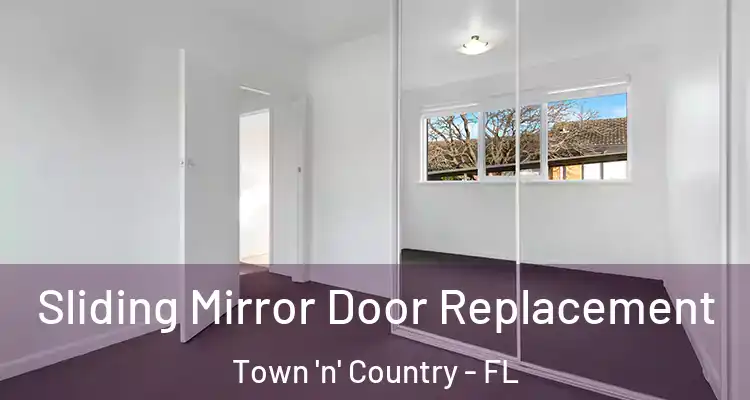 Sliding Mirror Door Replacement Town 'n' Country - FL