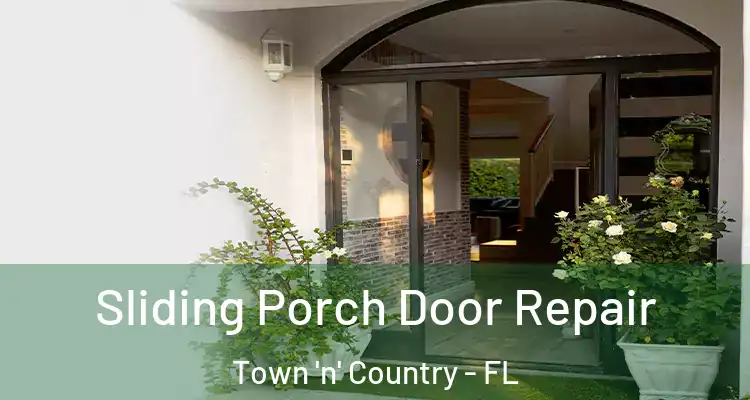  Sliding Porch Door Repair Town 'n' Country - FL