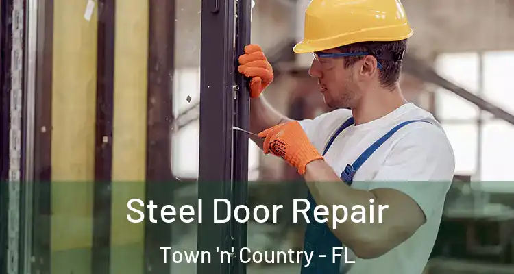  Steel Door Repair Town 'n' Country - FL